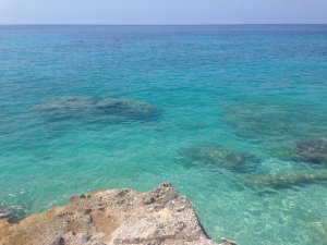 IMG_2153.JPG