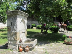 IMG_7817.JPG