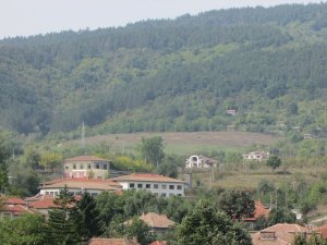 IMG_1011.JPG