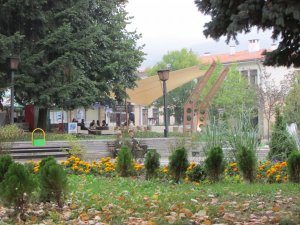 IMG_1024.JPG