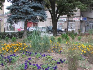 IMG_1028.JPG