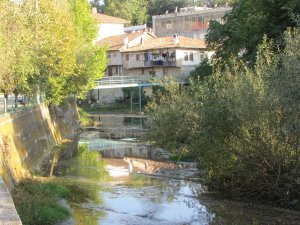IMG_1169.JPG