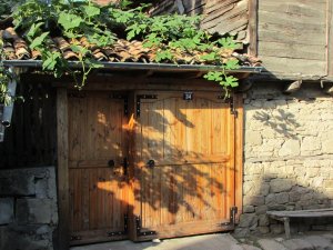 IMG_1180.JPG