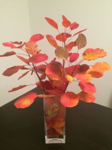 IMG_3978.JPG