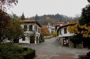 09.jpg