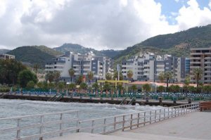 33628_600.jpg