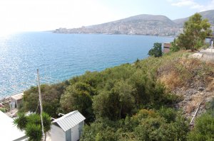 DSC_0355.JPG
