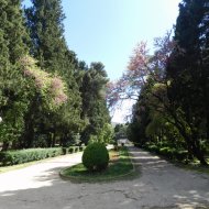 DSCN9962.JPG
