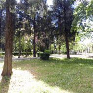 DSCN9964.JPG