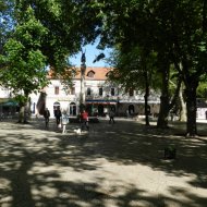 DSCN9988.JPG