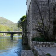 DSCN10010.JPG
