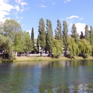 DSCN10012.JPG