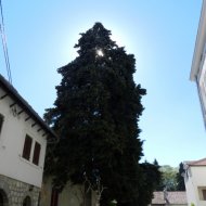 DSCN10026.JPG