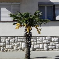 DSCN10032.JPG