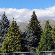 DSCN10040.JPG
