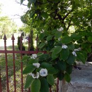 DSCN10061.JPG