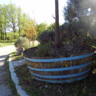 DSCN10062.JPG