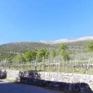 DSCN10064.JPG
