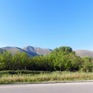 DSCN10077.JPG