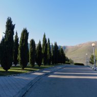 DSCN10079.JPG